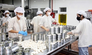 Lục Ngạn: Đẩy mạnh chế biến vải thiều